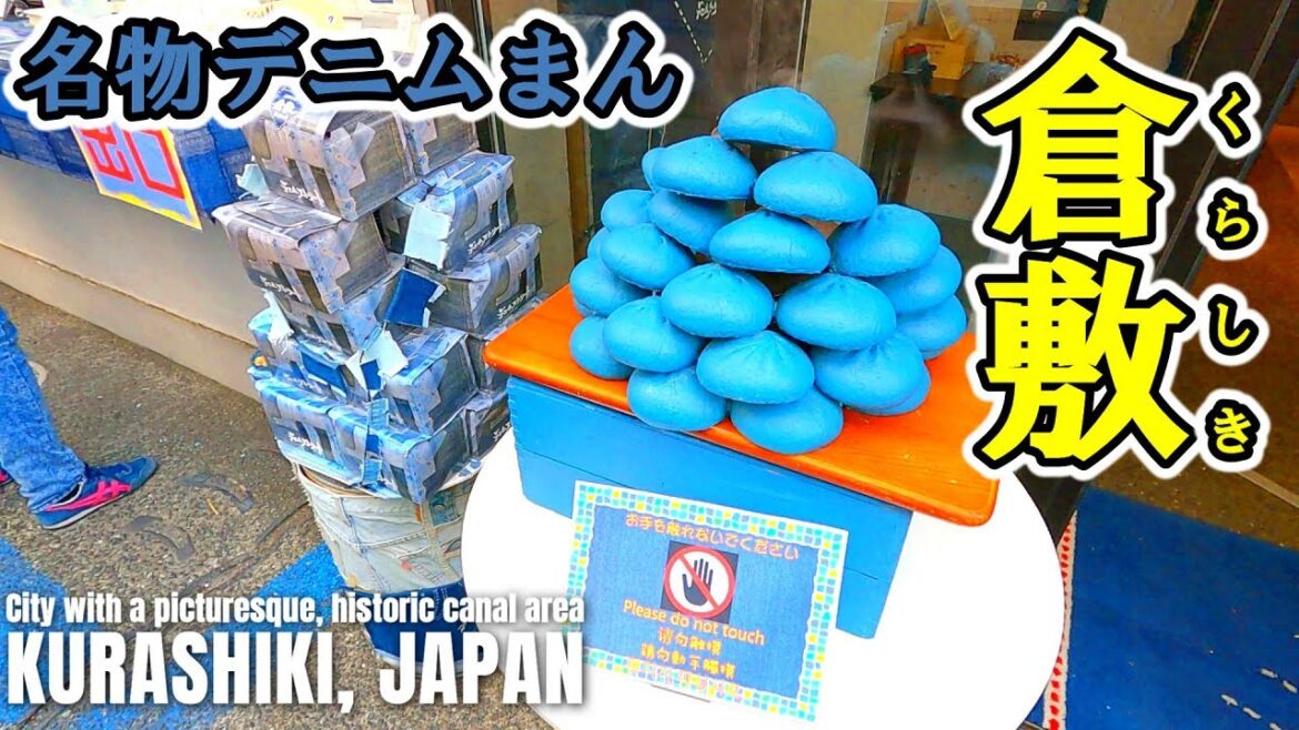 [岡山 倉敷市]レトロ商店街と美観地区を行く| 2023年1月