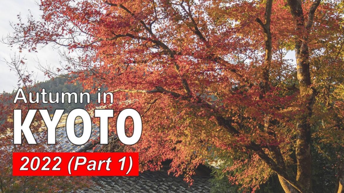 Autumn in Kyoto | Japan Travel
