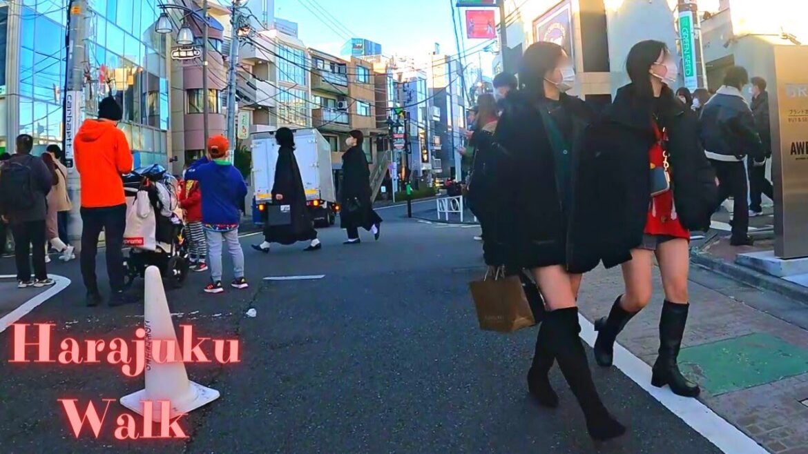 Harajuku Tokyo in Japan walking tour【4K】12.2022 Harajuku Tokyo in Japan walking tour【4K】12.2022