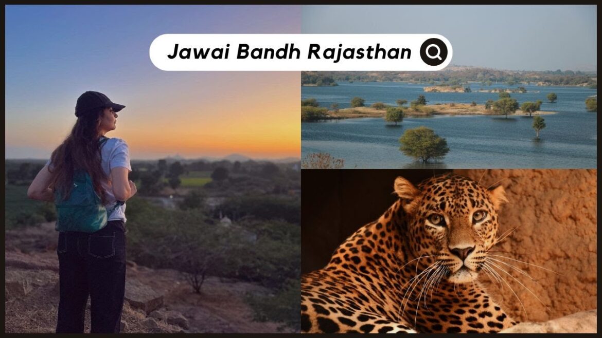 Jawai Bandh Leopard Safari | Jawai Bandh Rajasthan | Bera Rajasthan | Castle Bera | Eat Travel Fun