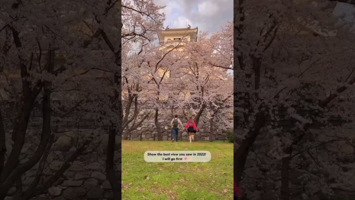 This was the BEST view of JAPAN in 2022! This hidden gem was my favorite Japan spot in 2022!