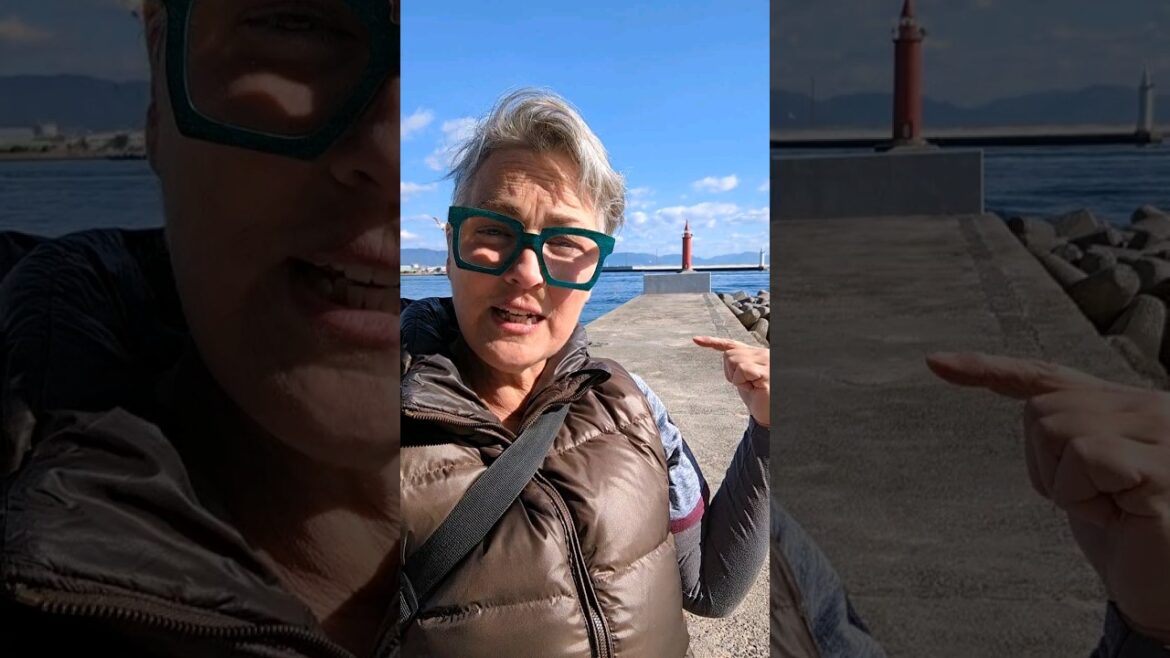 Hiroshima city beaches & island views at Moto-Ujina #japan #60seconds #shorts #seeksustainablejapan Hiroshima city beaches & island views at Moto-Ujina #japan #60seconds #shorts #seeksustainablejapan