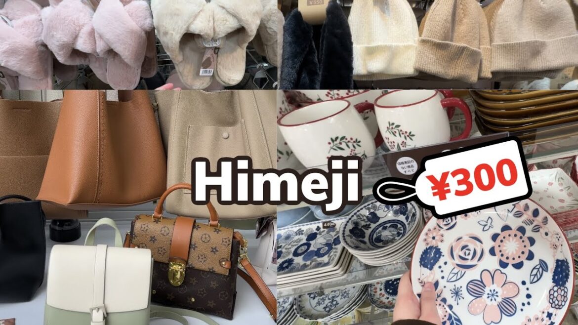 Himeji Shopping Guide (HIMEJI, JAPAN) | Happy Trip