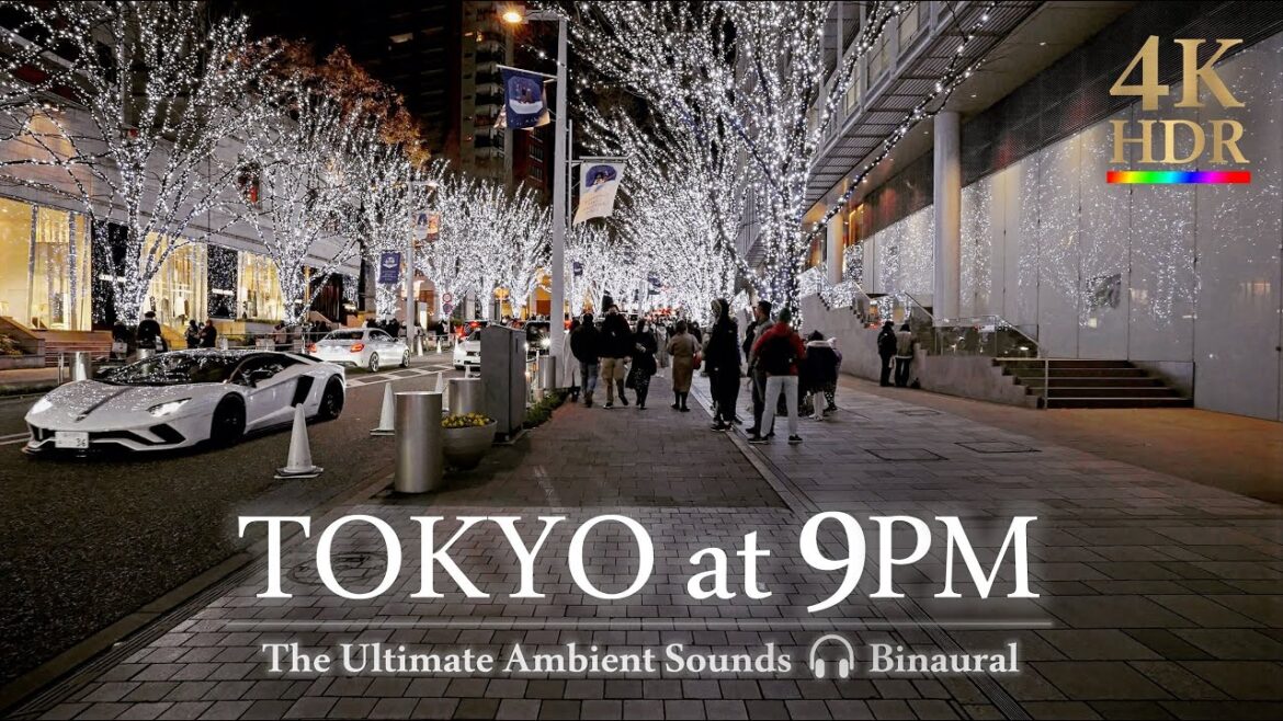 Tokyo Christmas Lights ✨ walking tour in Roppongi //4K HDR Tokyo Christmas Lights ✨ walking tour in Roppongi //4K HDR