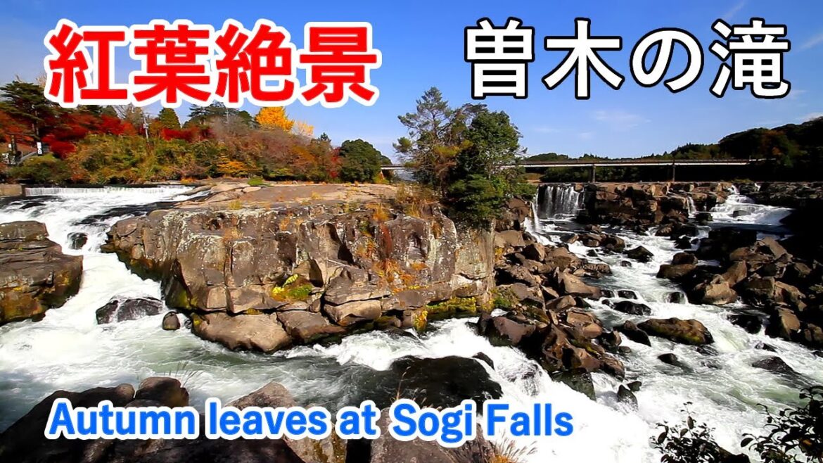 鹿児島県 曽木の滝と紅葉絶景 ( 桜・お花見も！ ) / Autumn Leaves at Sogi Falls ( Kagoshima, Japan )【日本の紅葉絶景！】 [ 4K ]