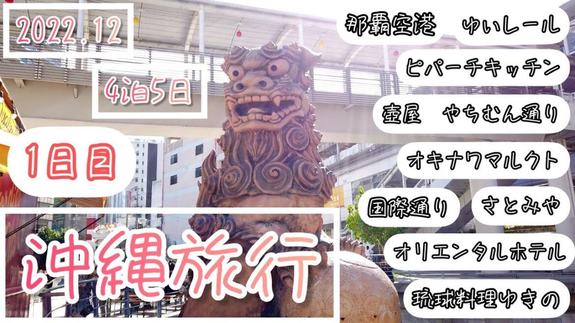 【沖縄旅行】2022.12 初日は那覇周辺をぶらぶら♪タコライスならぬイカライスのお店へ【1日目】