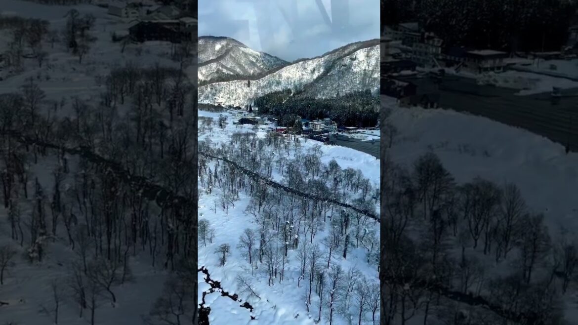 Tourist place in japan #shorts