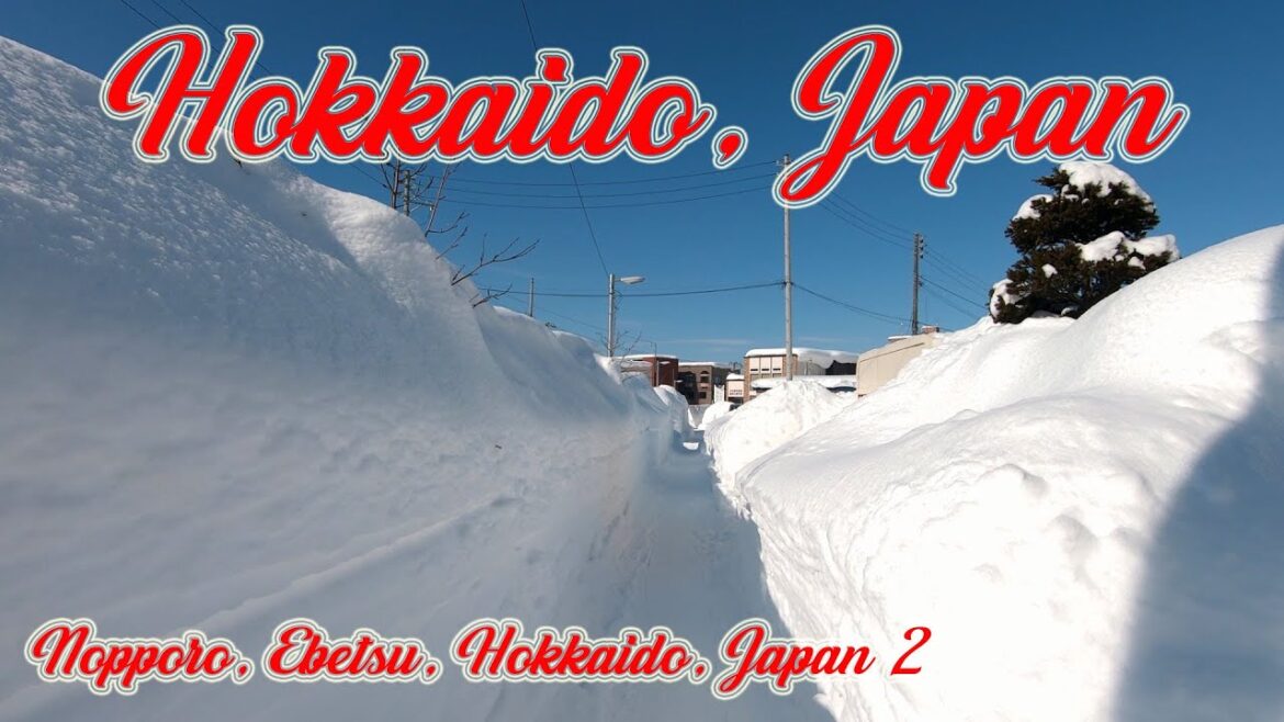 Walking in Hokkaido, Japan. Nopporo, Ebetsu, Hokkaido, Japan ②. ORANGE ua Walking in Hokkaido, Japan. Nopporo, Ebetsu, Hokkaido, Japan ②. ORANGE ua