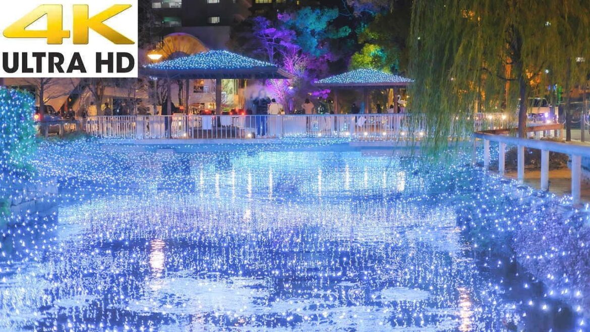 Xmasイルミネーションに彩られた街 / 西川イルミ、イオンモール岡山、杜の街グレース