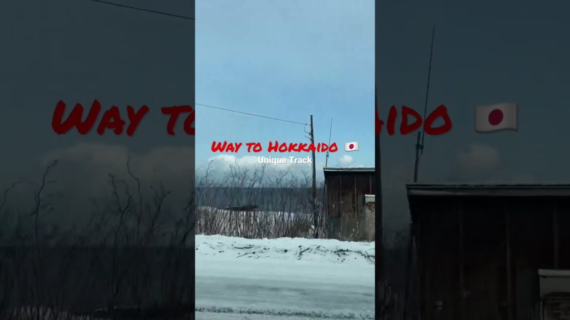 SNOW + SEA: A Crazy Driving Adventure in Japan #shorts #travel #maanmerijaan