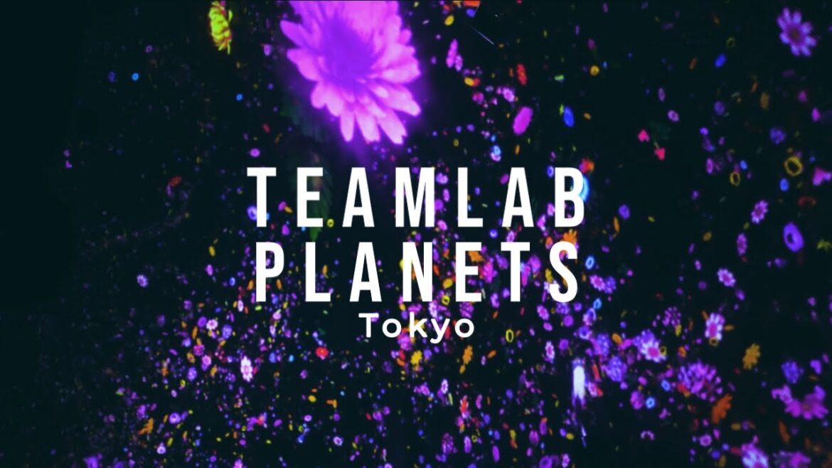 TeamLab Planets Tokyo Cinematic Travel Video
