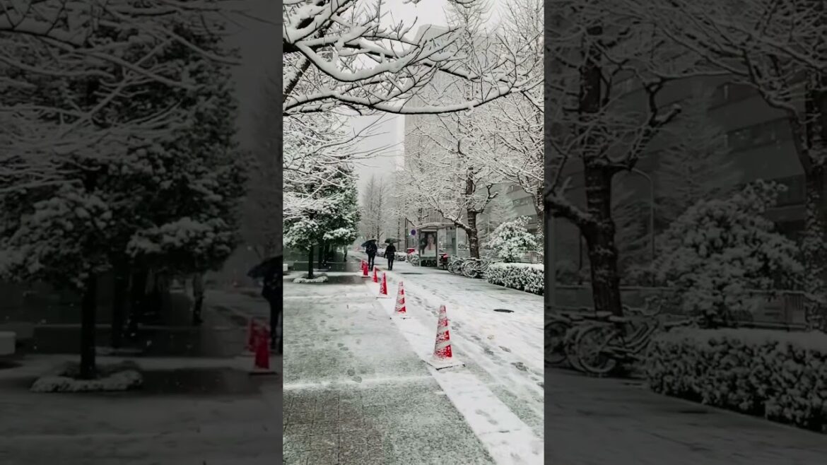 Heavy Snowfall in Tokyo ☃️❄️🇯🇵 #japan #snow #snowfall #snowy #heavysnowfall #travel #shorts