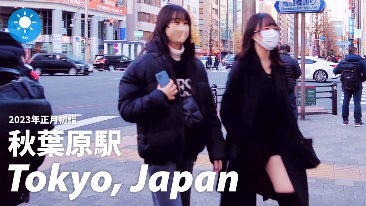 ⁴ᴷ Japan: Akihabara Station, Tokyo / The new year’s visit to a shrine: Walking Tour (January, 2023) ⁴ᴷ Japan: Akihabara Station, Tokyo / The new year’s visit to a shrine: Walking Tour (January, 2023)