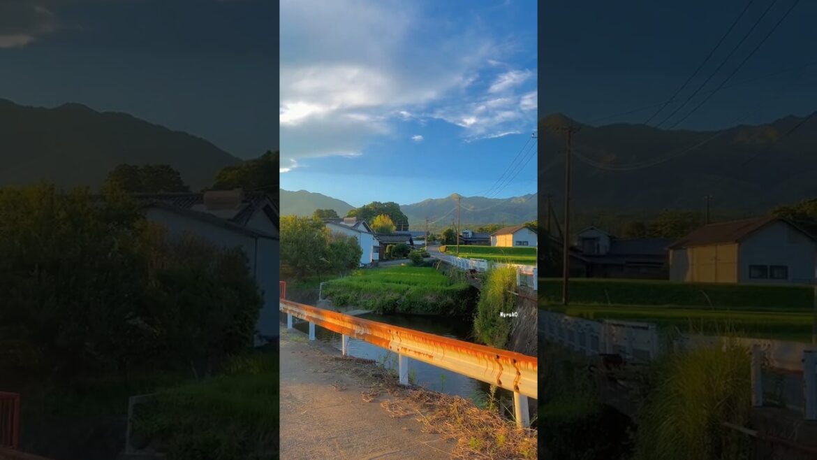 Japan 🇯🇵😍 #shorts | The Official Plus