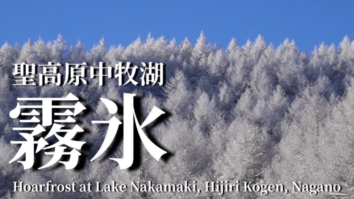 聖高原中牧湖Hoarfrost at Lake Nakamaki, Hijiri Kogen, Nagano