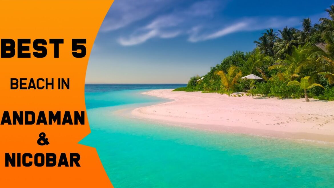 Best 5 Beach in Andaman & Nicobar Island | Andaman Tourism Best 5 Beach in Andaman & Nicobar Island | Andaman Tourism