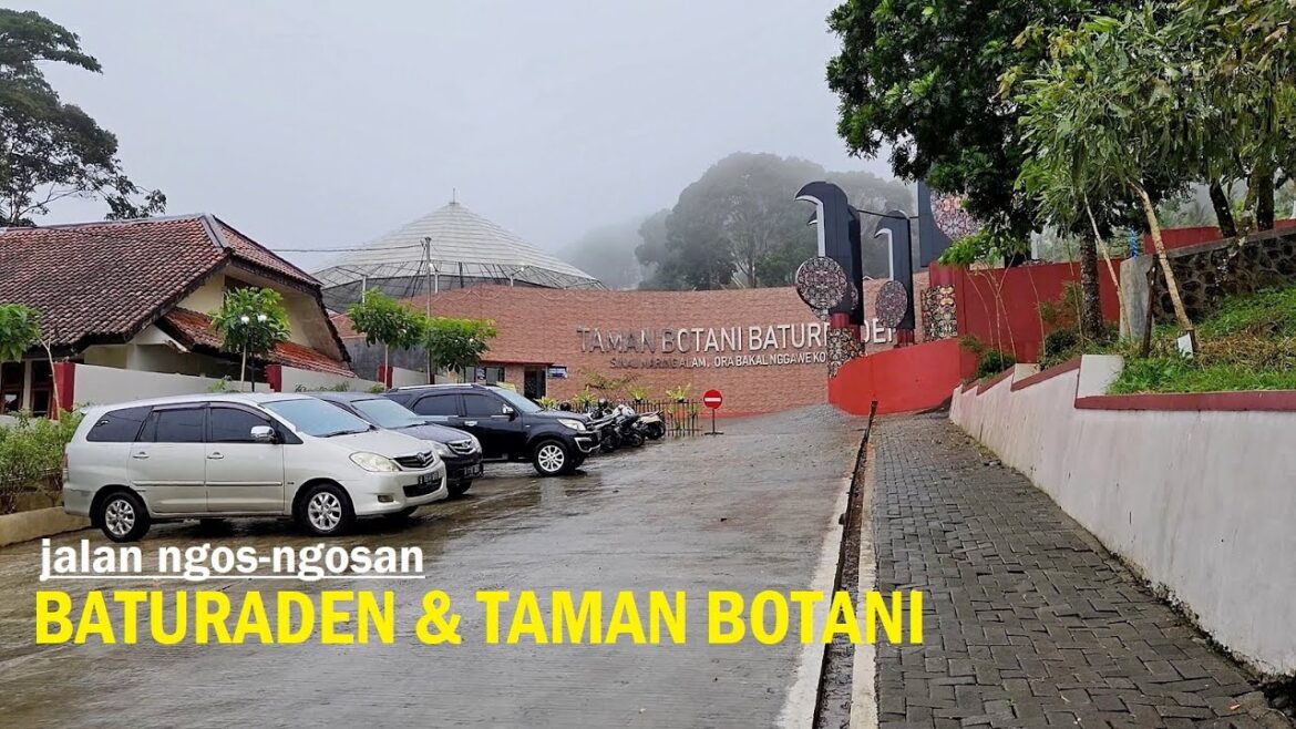 Rainy Walk to Taman Botani Baturaden (Botani Park) – Purwokerto – Jawa Tengah ❗ Rainy Walk to Taman Botani Baturaden (Botani Park) - Purwokerto - Jawa Tengah ❗