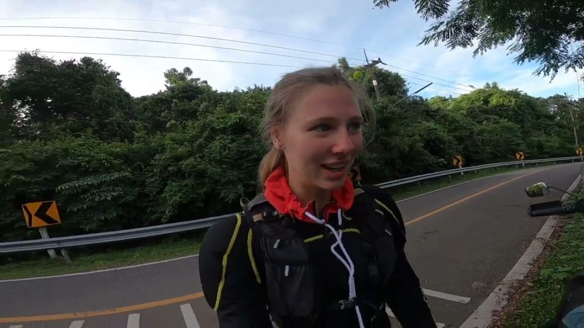 Meine Klamotten schimmeln Meine Klamotten schimmeln