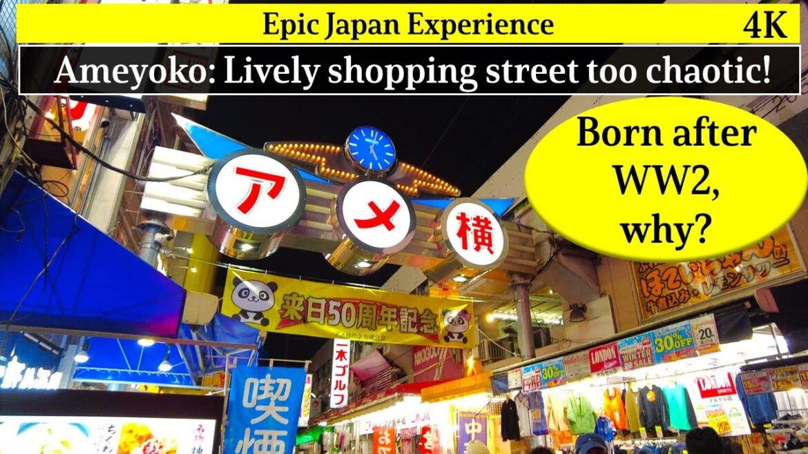 4K:Japan travel. Chaotic shopping street born after WW2, Ameyoko.