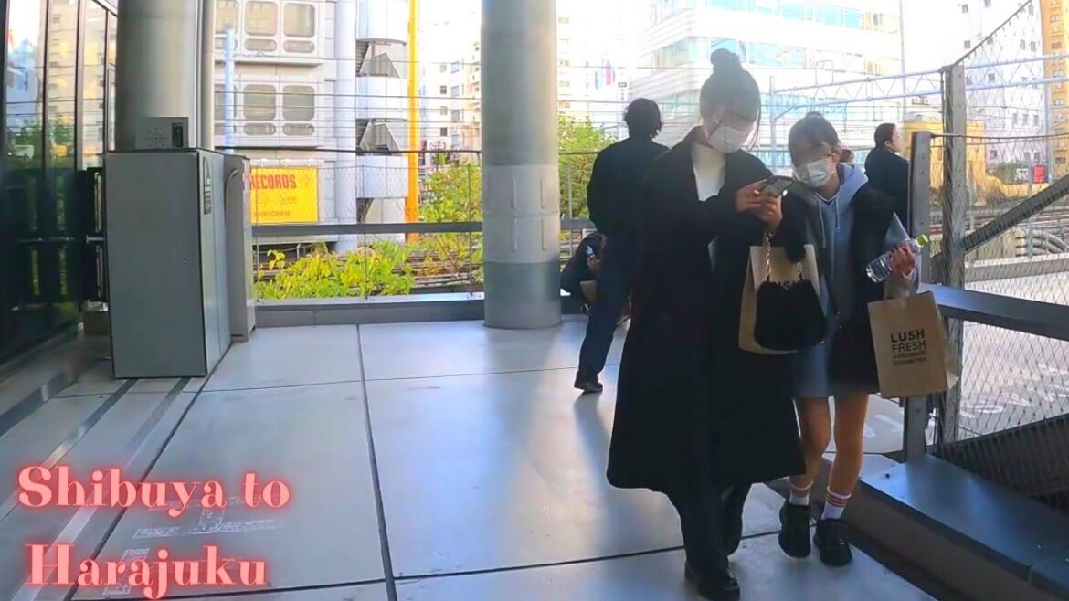 Shibuya to Harajuku Tokyo in Japan walking tour.【4K】12.2022