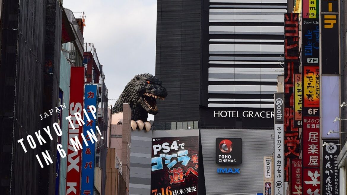 MY 2 WEEK TOKYO TRIP IN 6MIN!