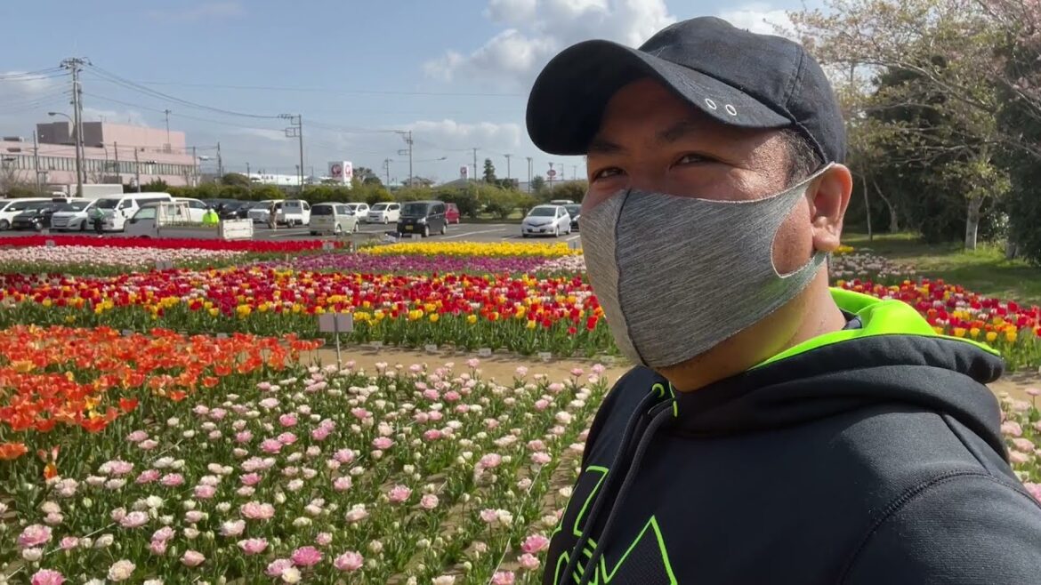Tulip Festival in Japan