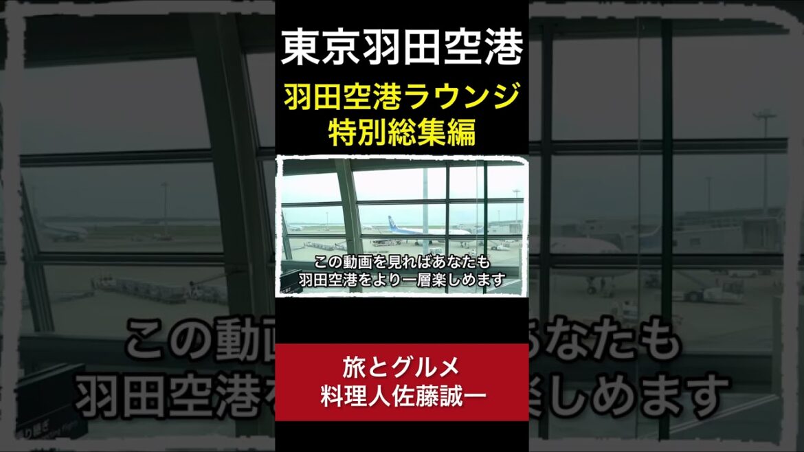 【羽田空港】99%が知らない！？ラウンジ動画大放出！全部知っていたら凄い！「空港ラウンジ#10」まとめ 旅haneda airport  tokyo trip #Shorts