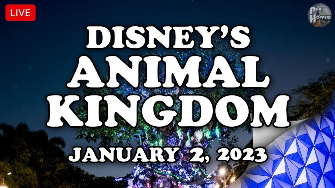 π΄ LIVE: ParkHopping | Animal Kingdom – EPCOT | New Year, Unleashed | Safari | Walt Disney World 2023 π΄ LIVE: ParkHopping | Animal Kingdom - EPCOT | New Year, Unleashed | Safari | Walt Disney World 2023