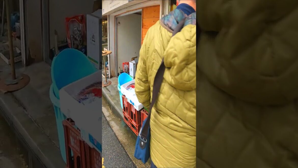 Street Market stalls in Niigata, #Japan #shorts #shortsvideo