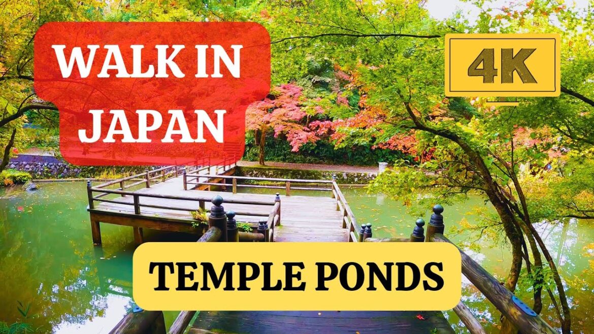 Temple Ponds in Kamo - Walk in Japan (4K 60FPS)