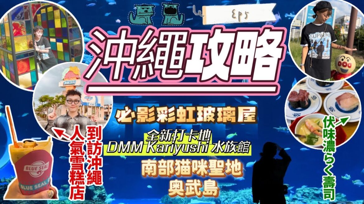 [沖繩自由行EP5] 琉球玻璃村｜沖繩最新DMM Kariyushi水族館｜沖繩治療貓咪島奧武島｜勁伏くら壽司｜沖繩名物Blue Seal雪糕店｜日本自駕遊