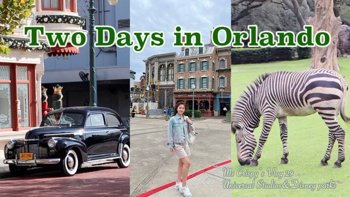 2 Days In Orlando🌴|迪士尼Disney|环球影城Universal Studios|暴走的嘎嘣脆|Travel Alone|Solo Trip|世界上最快乐的城市|Vlog 29 2 Days In Orlando🌴|迪士尼Disney|环球影城Universal Studios|暴走的嘎嘣脆|Travel Alone|Solo Trip|世界上最快乐的城市|Vlog 29