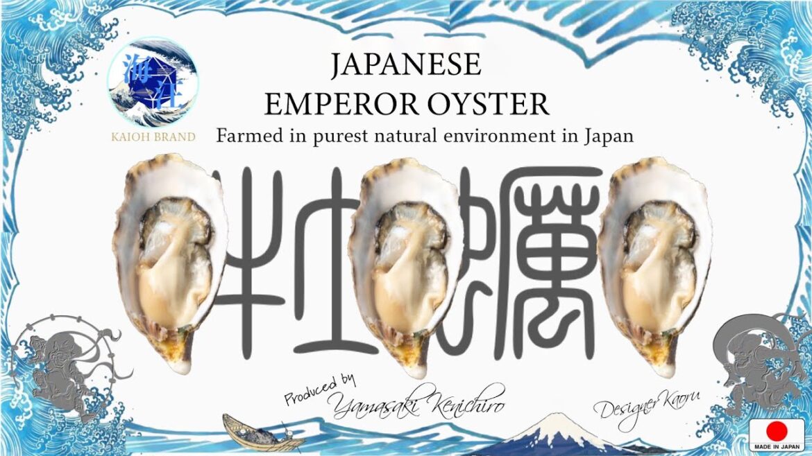 【EMPEROR OYSTER】#emperoroyster #oyster #pv #kynext
