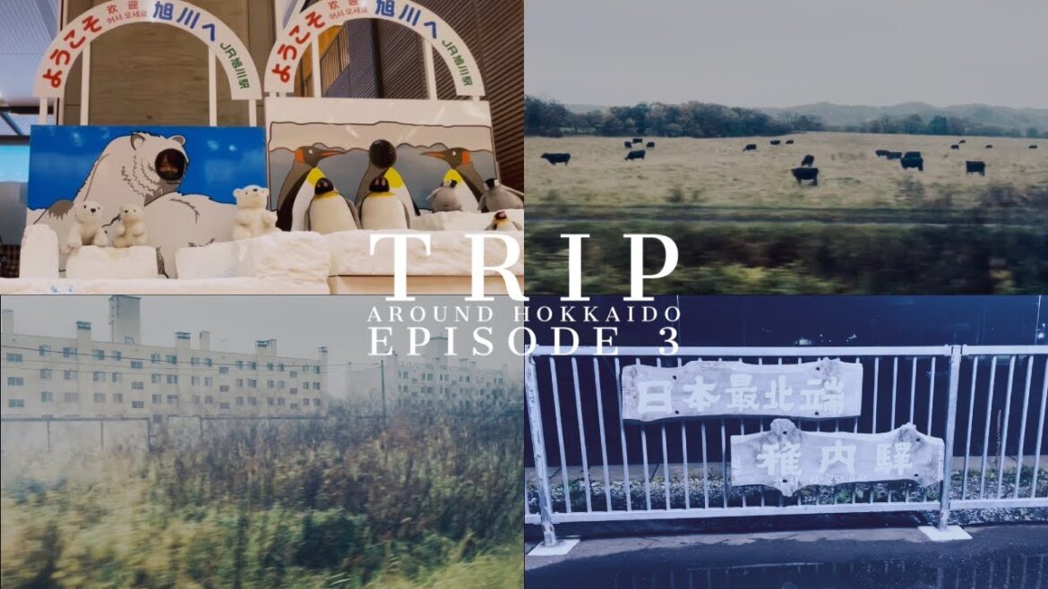 【TRIP VLOG】Train trip around Hokkaido 3 | JR乗り放題、 北海道巡り放題の6日間周遊パスを使って北海道1周旅行 | 1日目:旭川-稚内 【TRIP VLOG】Train trip around Hokkaido 3 | JR乗り放題、 北海道巡り放題の6日間周遊パスを使って北海道1周旅行 | 1日目:旭川-稚内