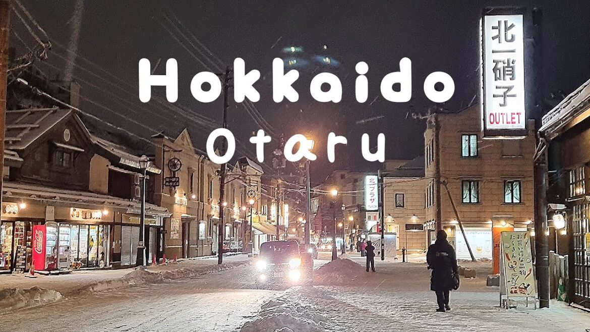 ❄️ 겨울왕국! 홋카이도 오타루 여행 ep.3 ☃️ 오르골당•스시&텐동 맛집•르타오본점•사카이마치거리•롯카테이•오타루운하•오타루역 - 일본 삿포로 여행 브이로그