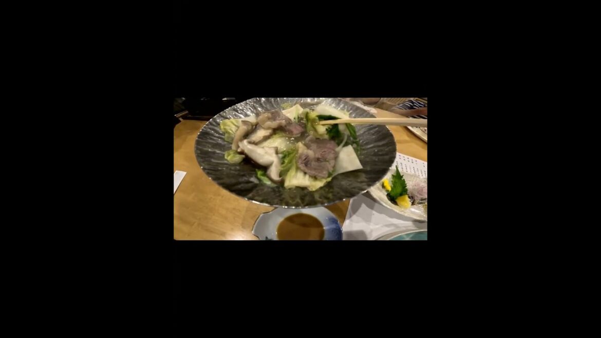 일본 온천여행#6 히로시마 유키온천 롯지 일본 온천여행#6 히로시마 유키온천 롯지