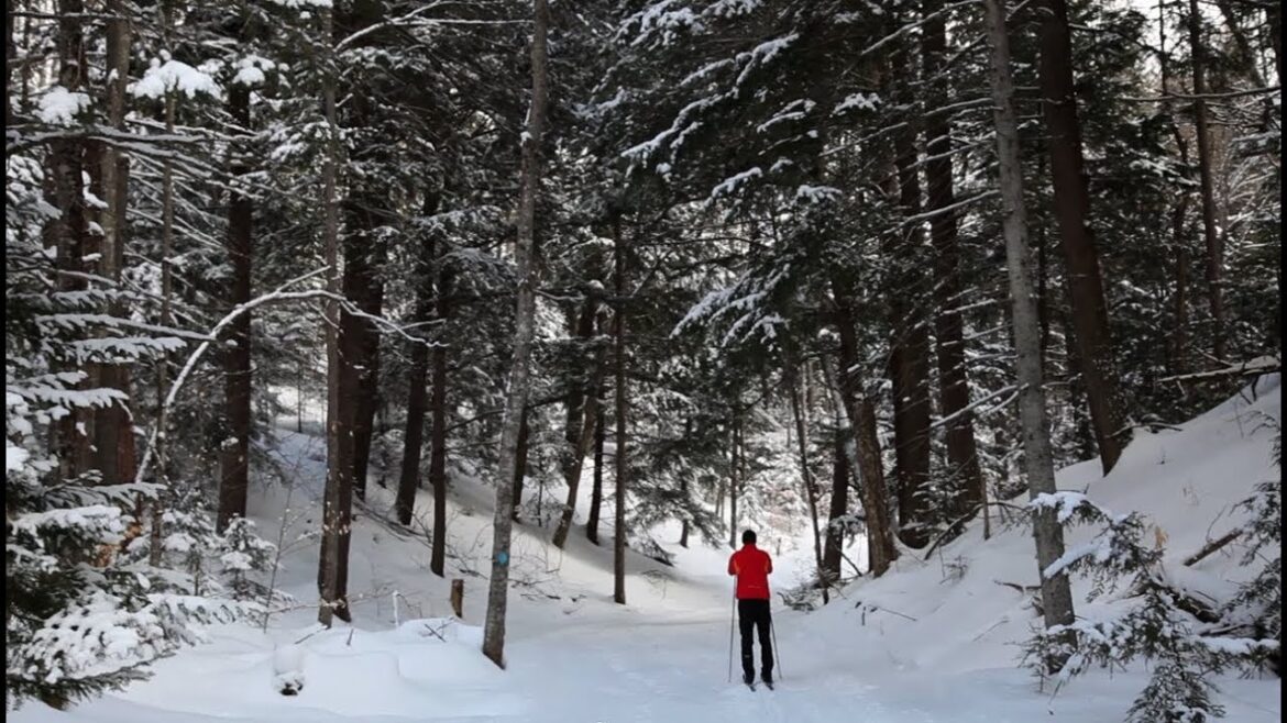 Cross Country Skiing | A Pure Michigan Winter Cross Country Skiing | A Pure Michigan Winter