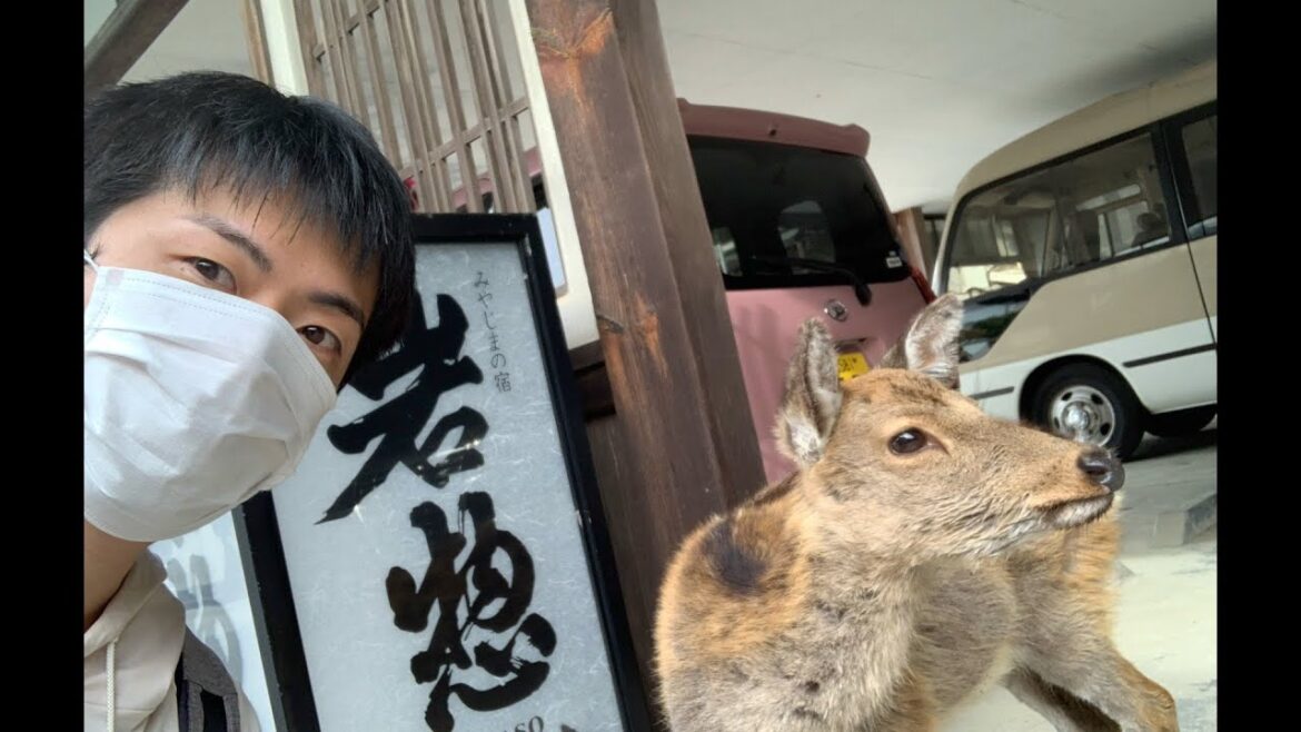 Travel Japan/Hiroshima Miyajima 【Fuku-chan ENT】