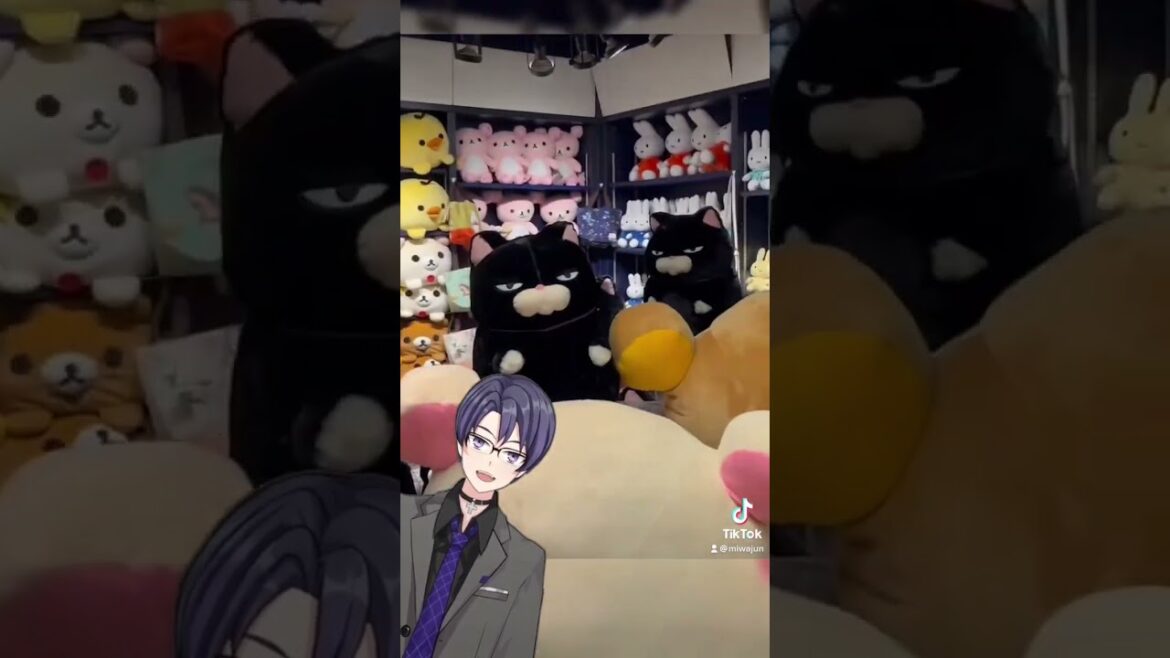 ACTUAL JAPAN STORE IN AMERICA!!! #fypシ #shorts #fyp ACTUAL JAPAN STORE IN AMERICA!!! #fypシ #shorts #fyp