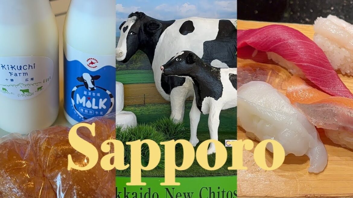 (vlog)新千歳空港で過ごす2泊3日　北海道グルメ　少しだけ札幌も 훗카이도여행