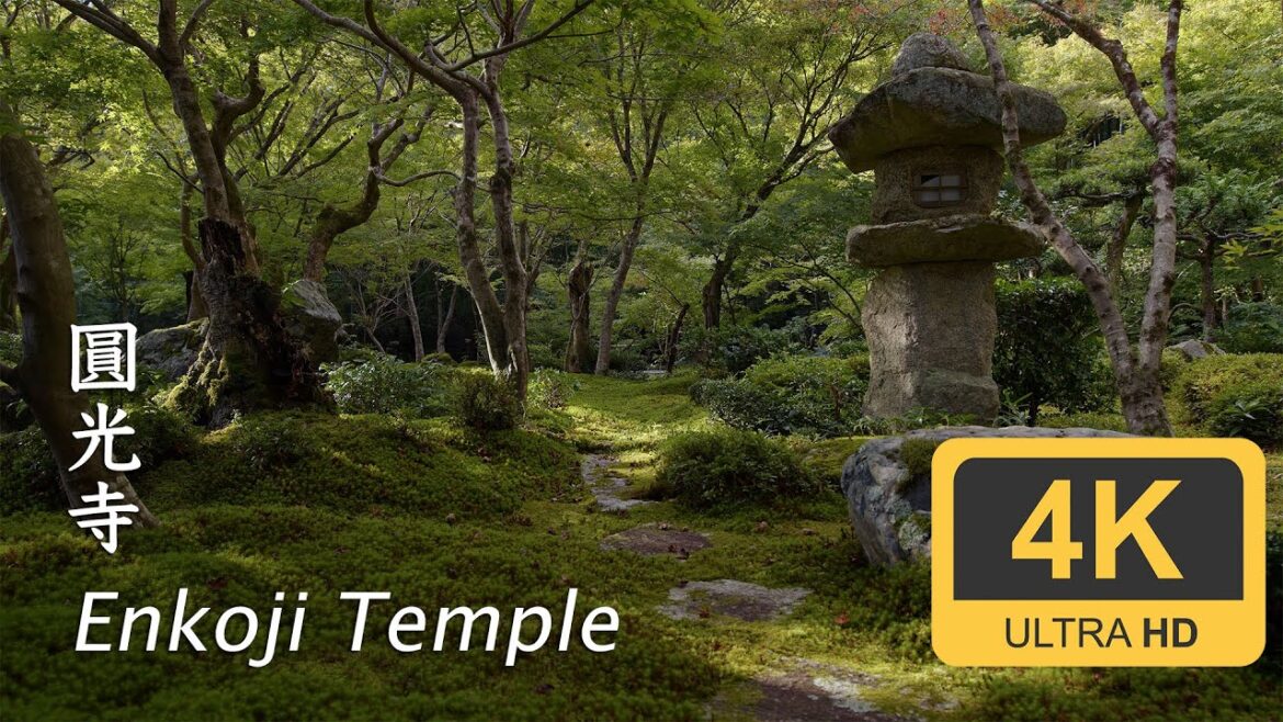 Enkoji Temple - Kyoto - 圓光寺