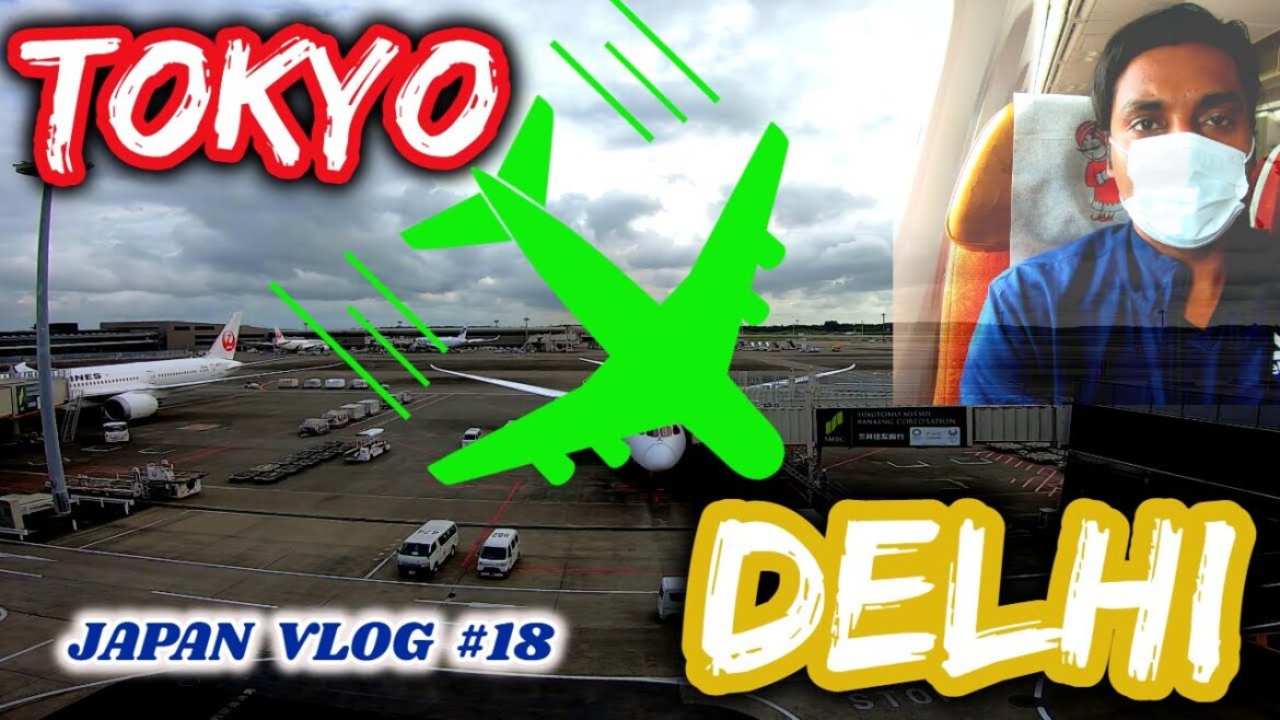 JAPAN TO INDIA FLIGHT | TOKYO TO NEW DELHI | AIR INDIA FLIGHT | INDIAN IN JAPAN | HINDI VLOG