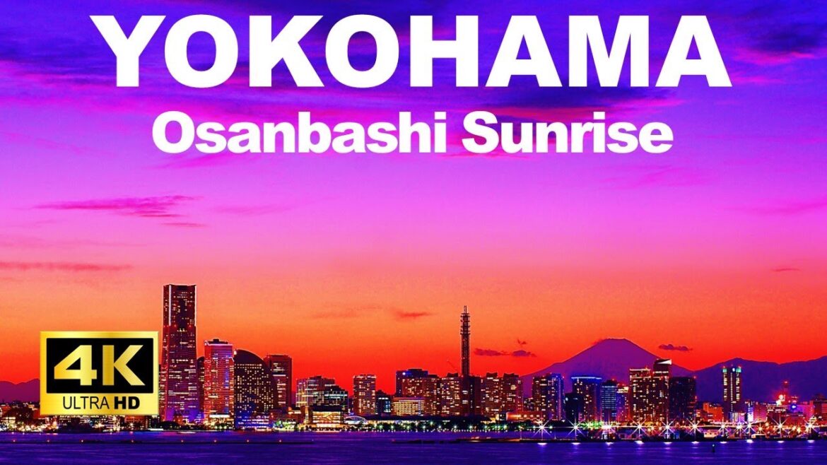 【4K】Yokohama Walking Tour - Sunrise from Osanbashi Terminal