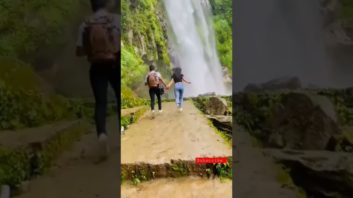 husband wife romance💞new love status💖newly married romantic couple 💑cute couple goal #shorts #sho husband wife romance💞new love status💖newly married romantic couple 💑cute couple goal #shorts #sho