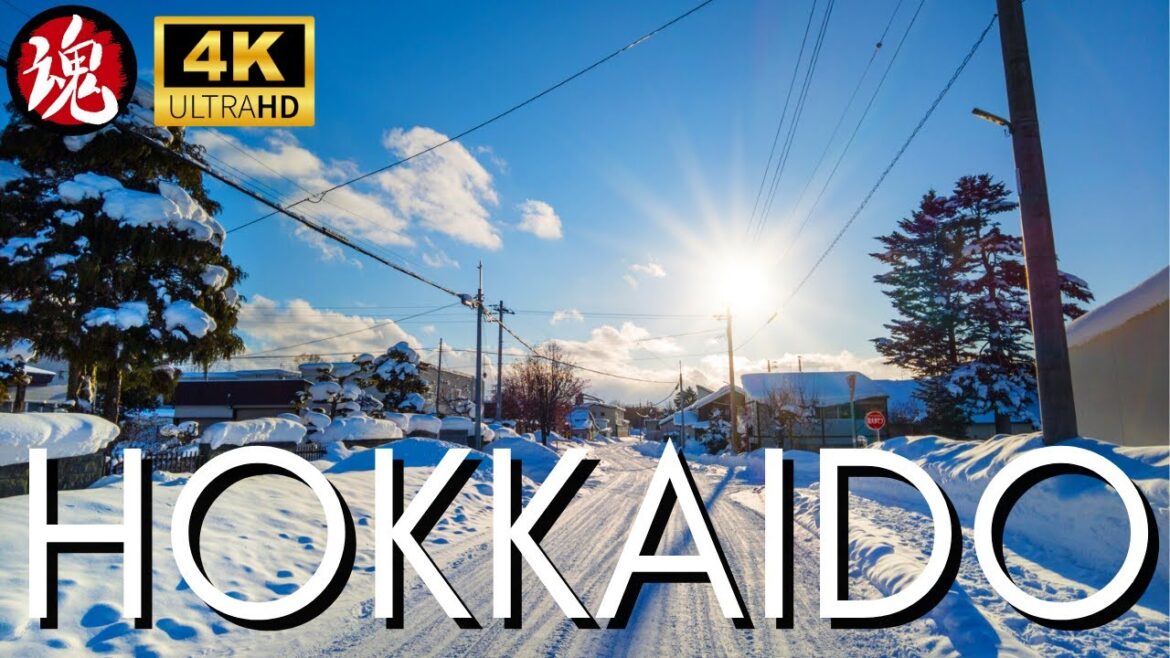 Winter Morning Walk In Freezing Japan | Snowy Higashikawa Hokkaido Winter Morning Walk In Freezing Japan | Snowy Higashikawa Hokkaido