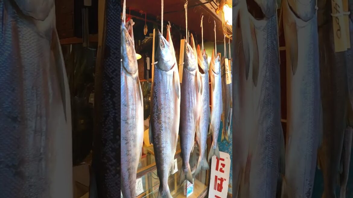 Salmon hanging in a market stall in #Japan #shorts #shortsvideo