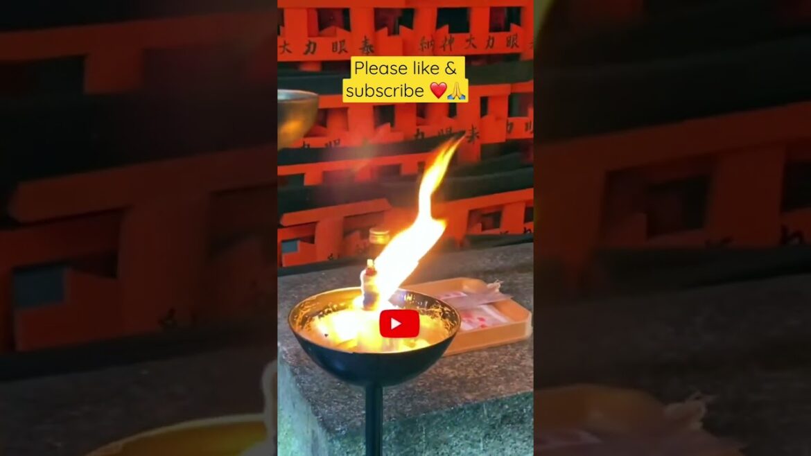 #japan #shorts #travel #1ancu1ghiozdan #kyoto #temple #fushimi #fushimiinarishrine #fushimiinari