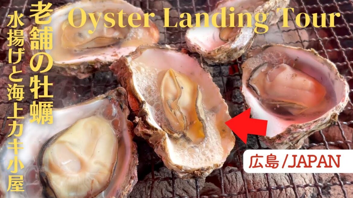 OYSTERS at Floating Restaurant! Oyster Landing and Itsukushima Shrine at Sea. | Hiroshima, JAPAN