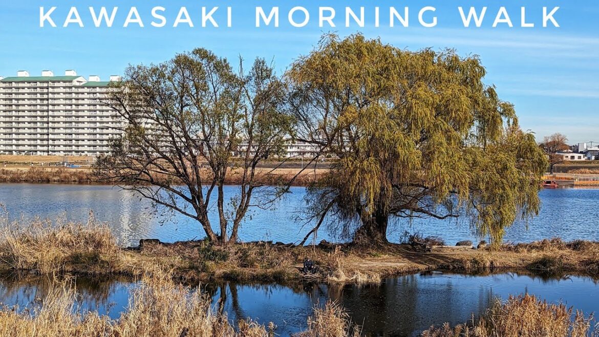 Morning Kawasaki Photowalk 📷 Live Japan Walk (High Resolution Photo Downloads available via Patreon) Morning Kawasaki Photowalk 📷 Live Japan Walk (High Resolution Photo Downloads available via Patreon)