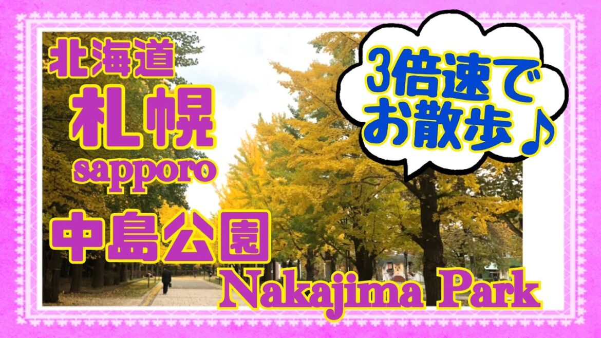 北海道旅行おすすめ！中島公園🚶メトロ駅徒歩1分！3倍速で紅葉お散歩動画✨　Sapporo,Hokkaido,Japan
